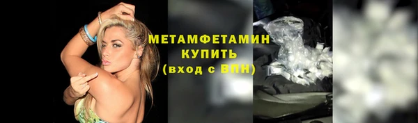 сатива Горняк
