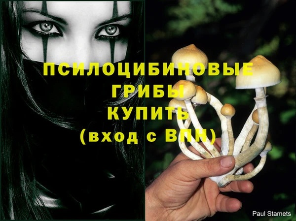мяу мяу мука Гусев
