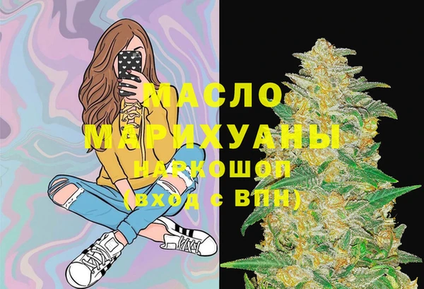 сатива Горняк