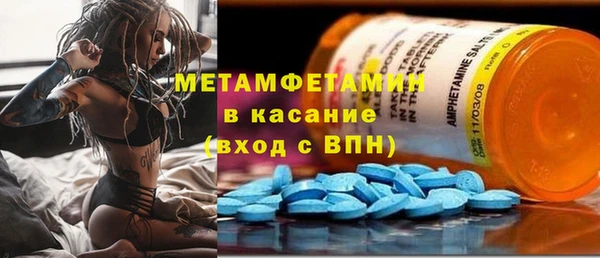 сатива Горняк