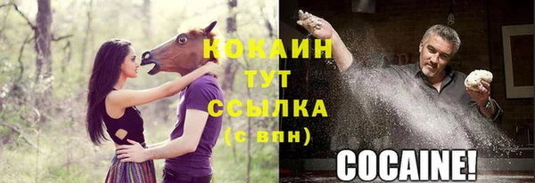мяу мяу мука Гусев